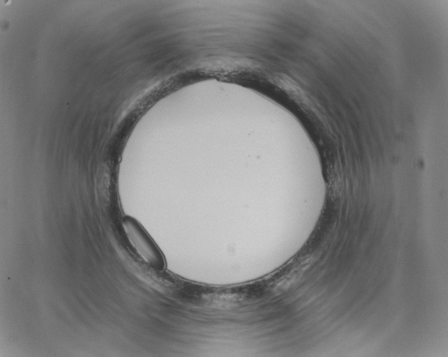 X0000064730448200603131257