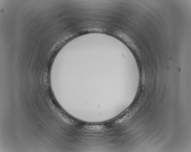 X0000064730449200603131257