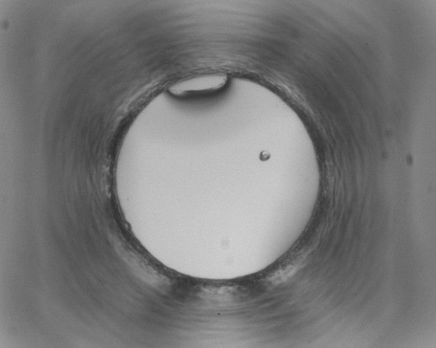 X0000064730450200603131257