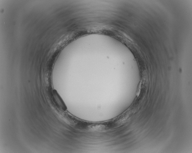 X0000064730452200603131257