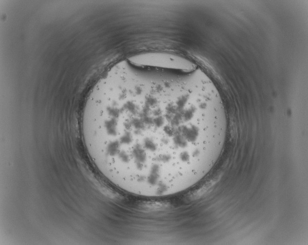 X0000064730453200603131257