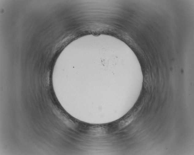 X0000064730454200603131257