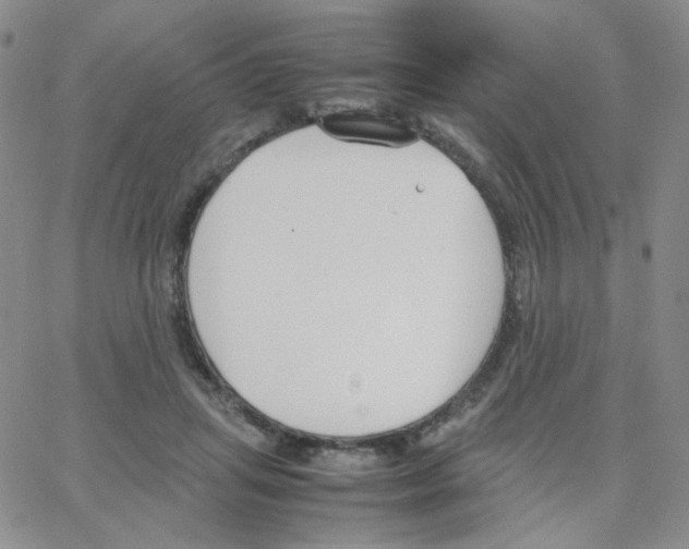 X0000064730455200603131257