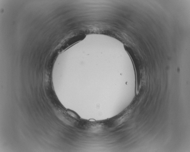 X0000064730456200603131257