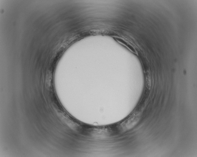 X0000064730458200603131257