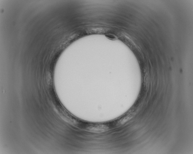 X0000064730459200603131257