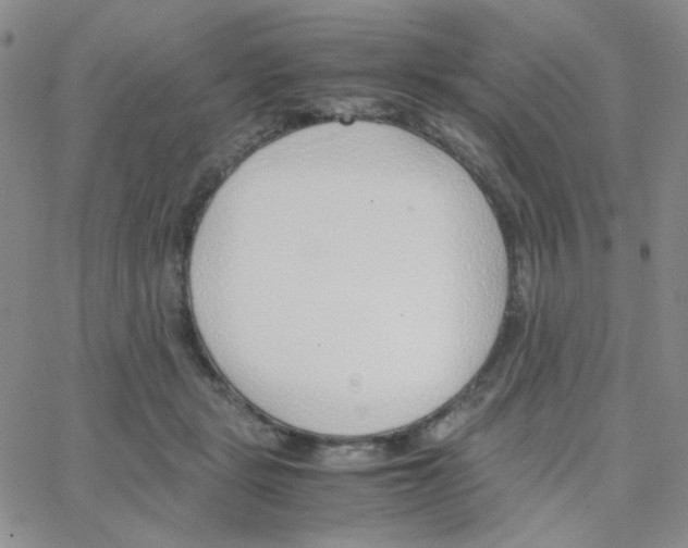 X0000064730461200603131257