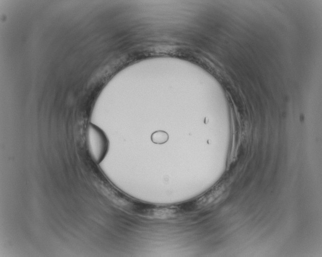 X0000064730462200603131257