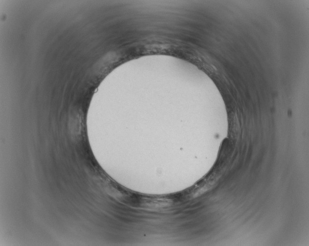 X0000064730463200603131257