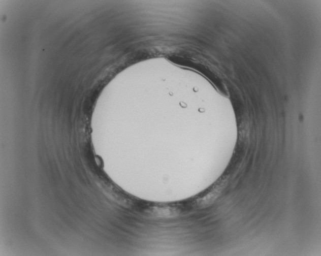 X0000064730464200603131257