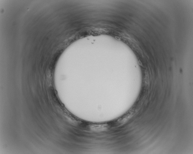 X0000064730465200603131257