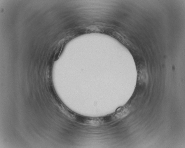 X0000064730466200603131257