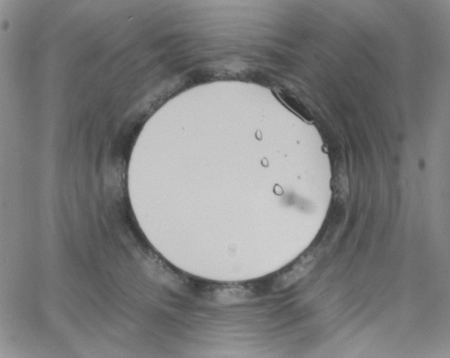 X0000064730468200603131258