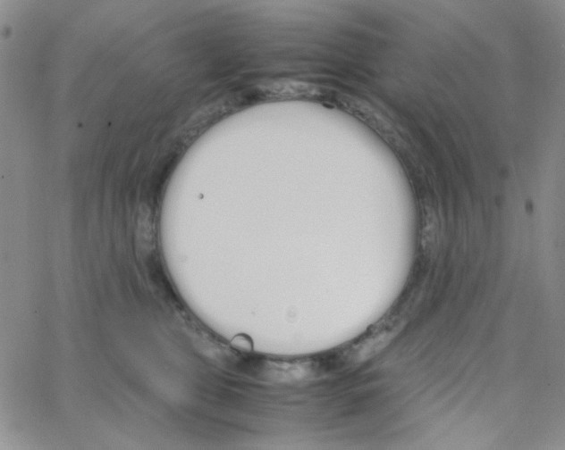 X0000064730469200603131258