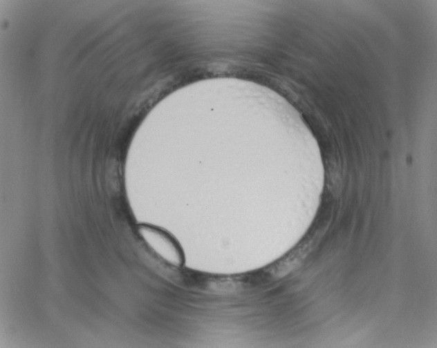 X0000064730470200603131258