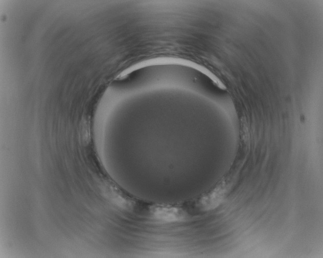 X0000064730471200603131258