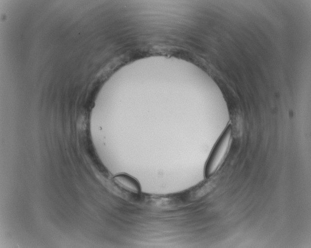 X0000064730472200603131258