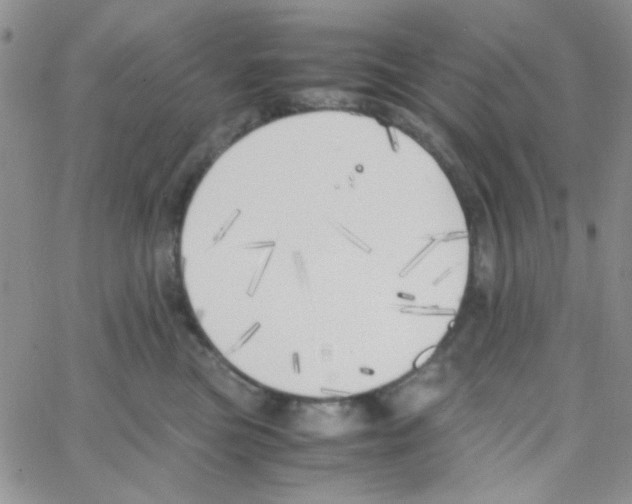 X0000064730473200603131258