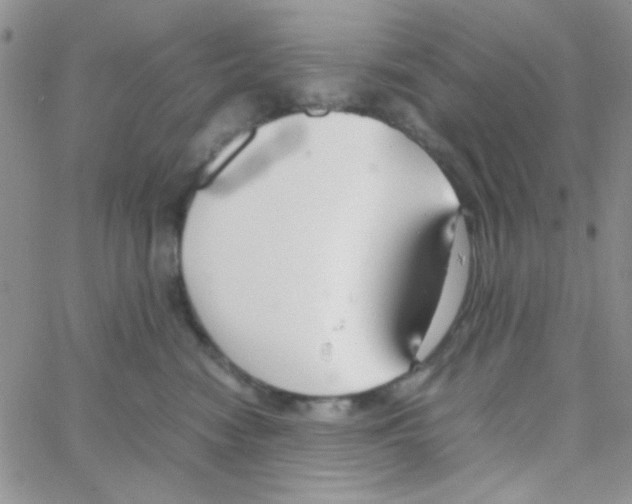 X0000064730474200603131258