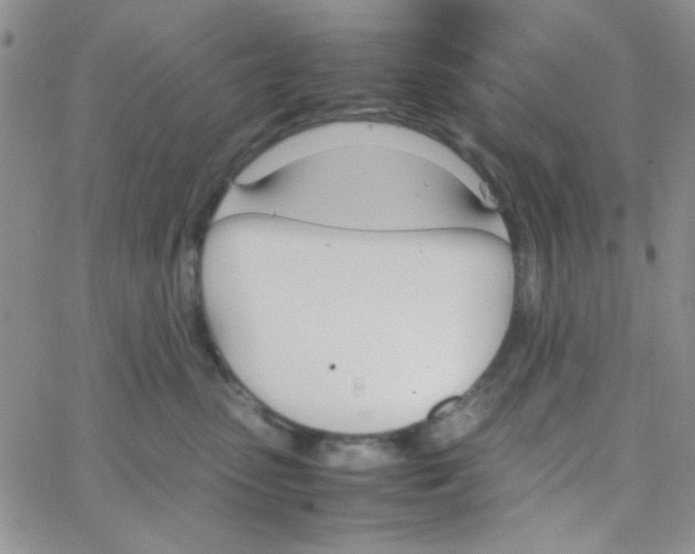 X0000064730475200603131258