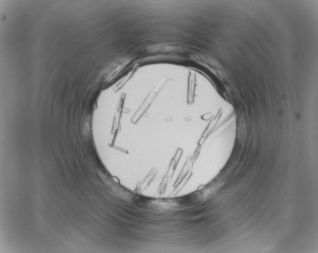 X0000064730477200603131258