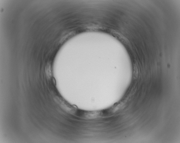 X0000064730479200603131258