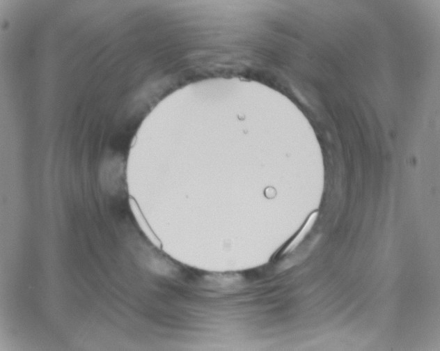 X0000064730480200603131258