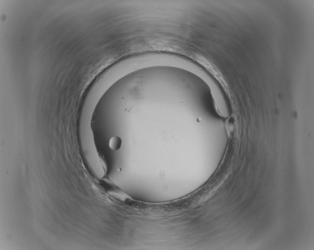 X0000064730481200603131257