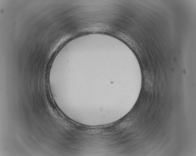 X0000064730482200603131257