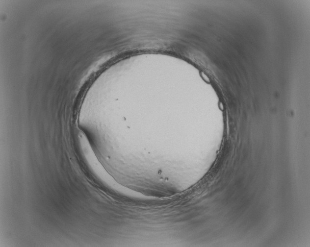 X0000064730483200603131257