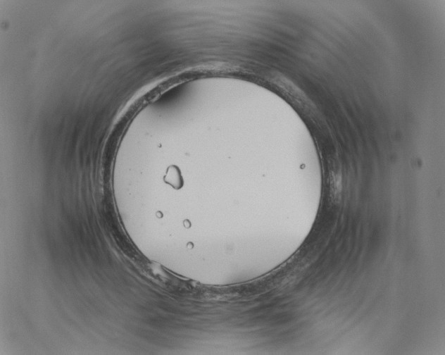 X0000064730484200603131257