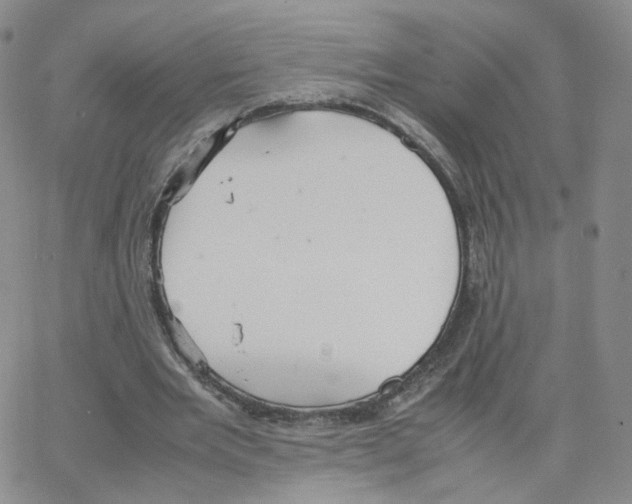 X0000064730485200603131257