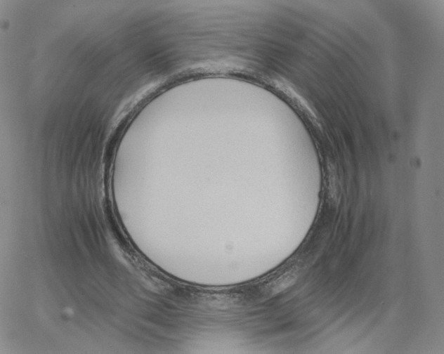 X0000064730486200603131257