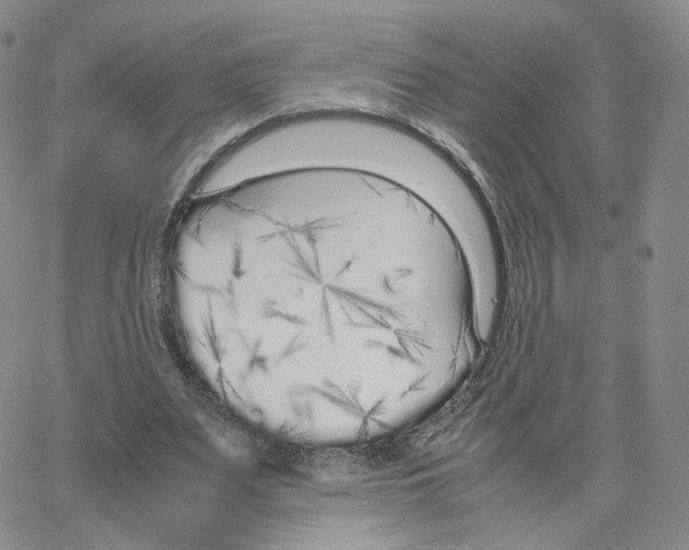 X0000064730487200603131257