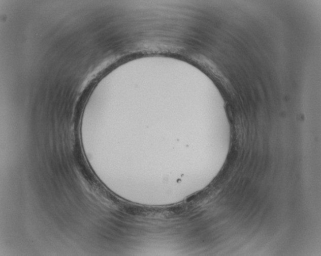 X0000064730488200603131257