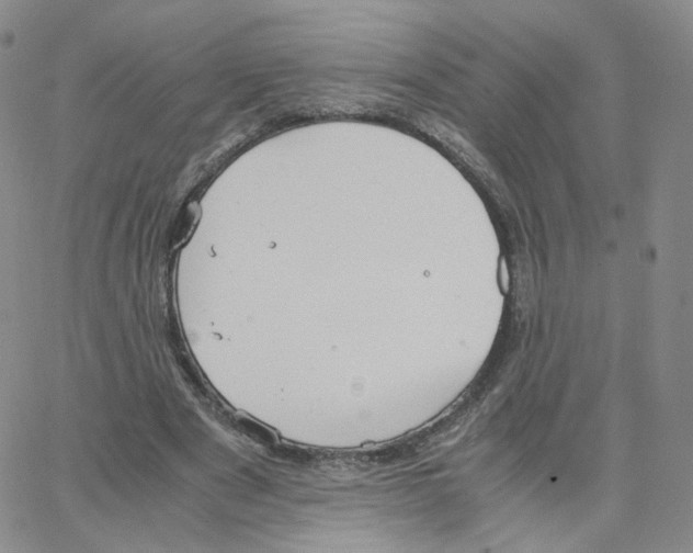 X0000064730489200603131257