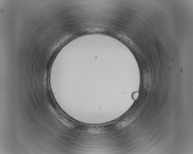 X0000064730490200603131257