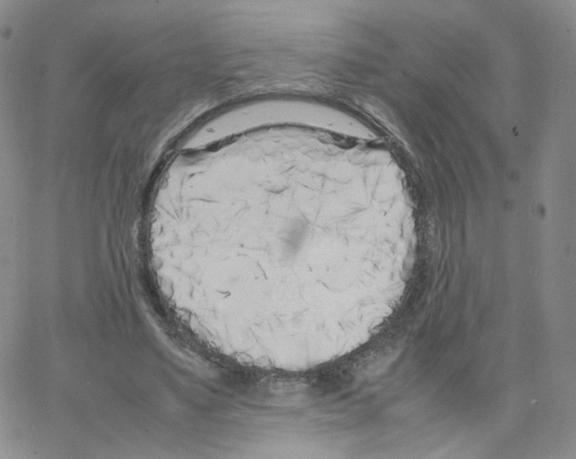 X0000064730491200603131257