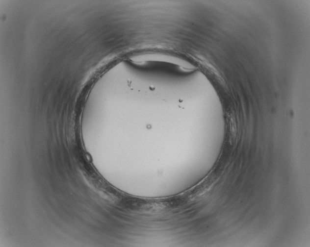 X0000064730492200603131257