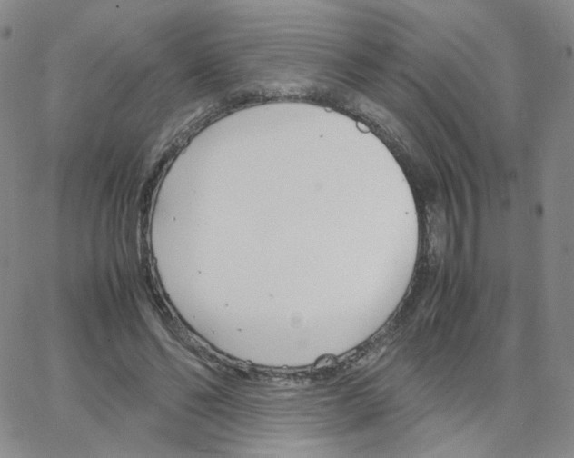 X0000064730494200603131257