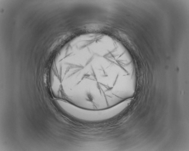 X0000064730495200603131257