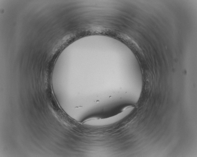 X0000064730496200603131257