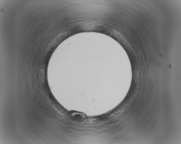 X0000064730497200603131257