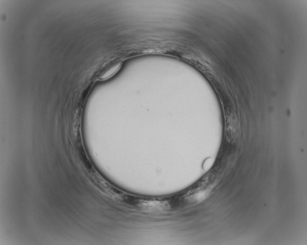 X0000064730499200603131257