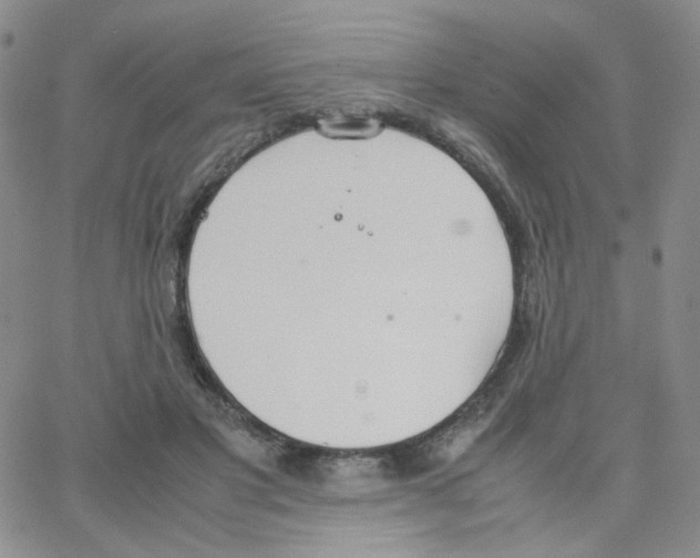 X0000064730501200603131257