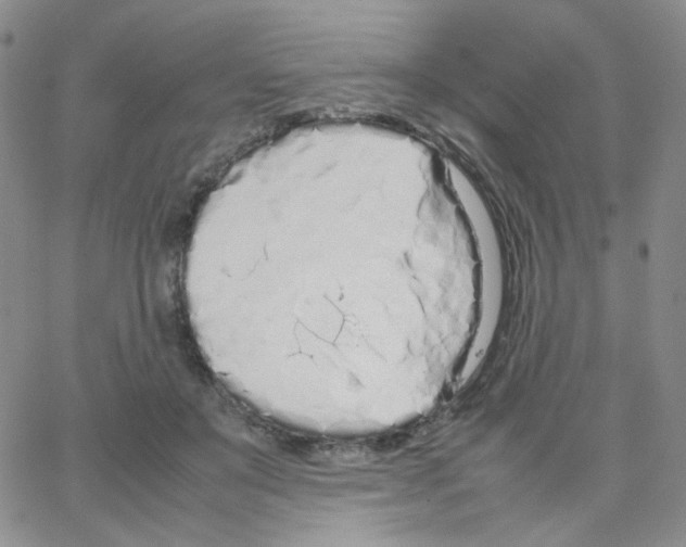 X0000064730503200603131256