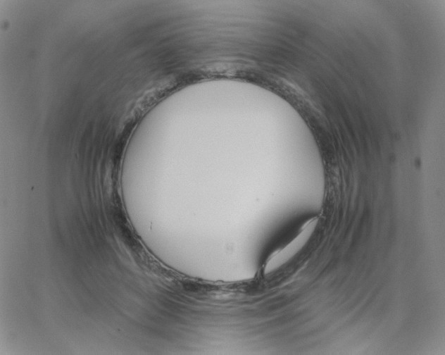 X0000064730504200603131256