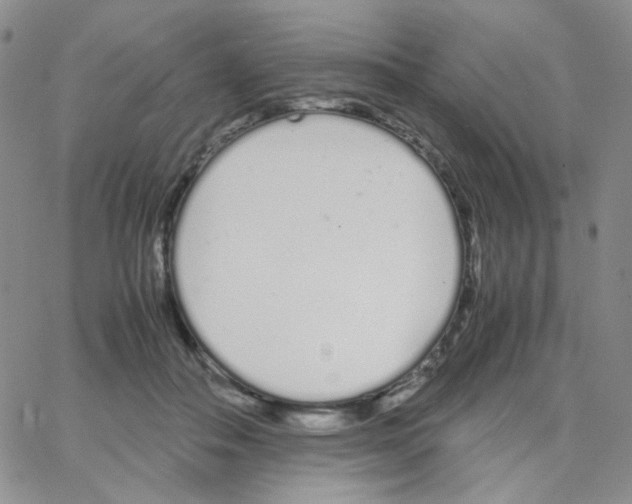 X0000064730506200603131256