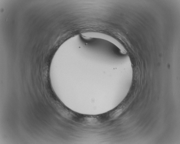 X0000064730509200603131256