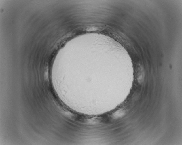 X0000064730510200603131256